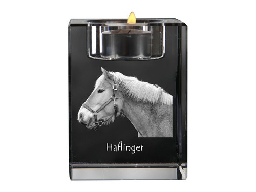 Haflinger candelabro - , di