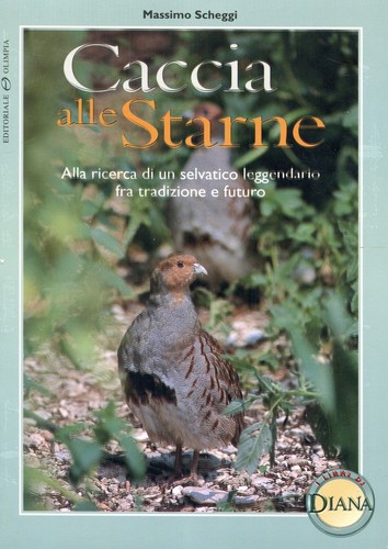 Caccia alle starne massimo - starne,
