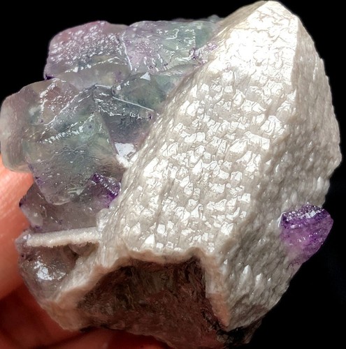 85g naturale castello - 85g, cactus