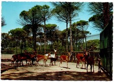 Cartolina 2745. Ravenna