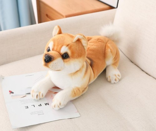 Peluche shiba inu - shiba,