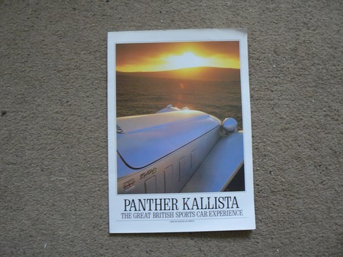 Brochure vendita panther - vendita,