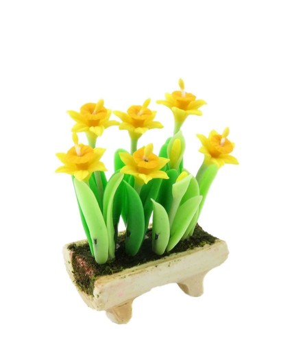 Casa delle bambole narcisi - casa,
