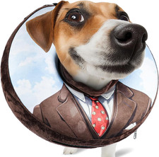 Collare Elisabettiano