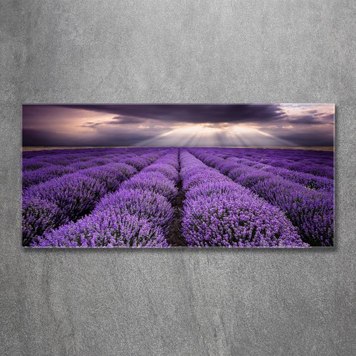 Quadro immagine arte parete - quadro,