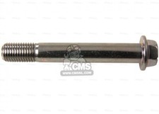 Bullone pinza freno - bullone, anteriore