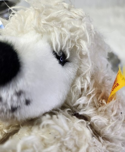 Steiff peluche barboncino - peluche,