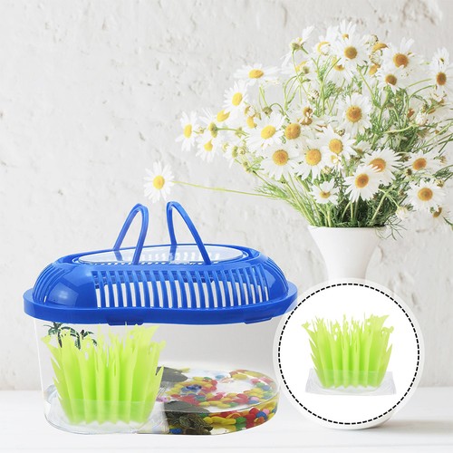 Pezzi terrario sfondo - ,