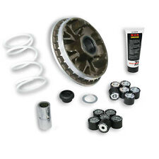 MF1018 Variatore Malossi