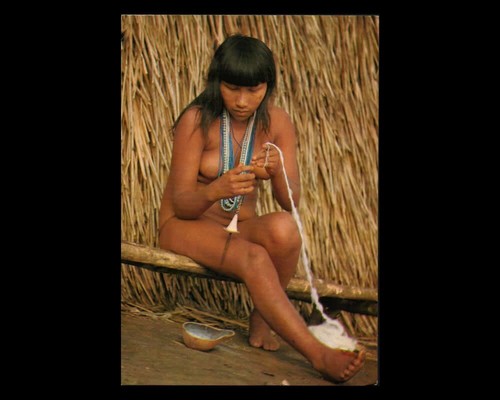 Xingu indiani brasiliani - ,