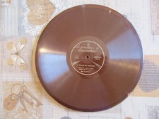 LE AVVENTURE PINOCCHIO SU DISCHI DURIUM Disco n. 9 Il campo dei miracoli