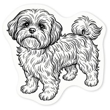 'Adorabile Shih Tzu Dog