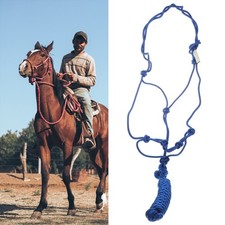  Testiera Cavallo Cavezza in