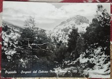 Orgosolo. Sorgenti del Cedrino - Monte Fumai. Viaggiata 1967.