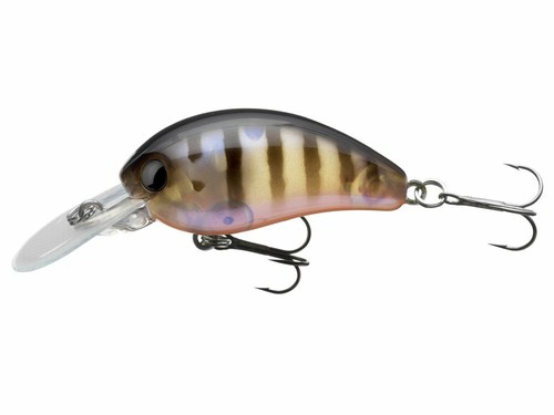 Daiwa tournament baby - daiwa,