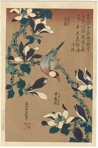 Stampa xilografia hokusai - xilografia,