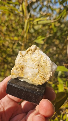 Minerali stolzite cristalli - stolzite,