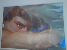 Quadro Angelo Caduto