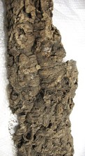 Natural Cork Bark Environment