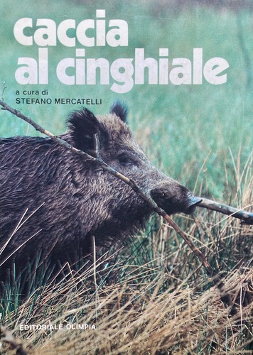 Caccia cinghiale cura di - cinghiale,, a