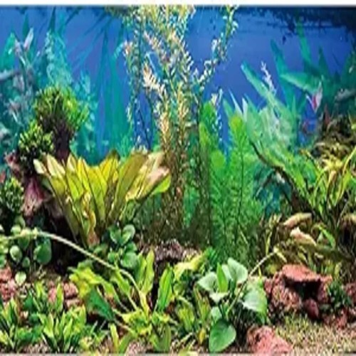 Sfondo acquario 48x18 pollici