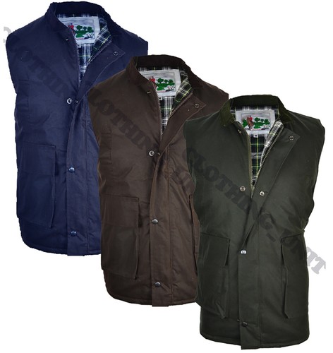 Gilet uomo cera cotone - cotone, oliato