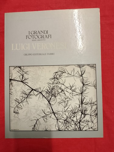 Grandi fotografi luigi - grandi,