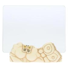 Portafoto Thun con vetro collezione Elegance