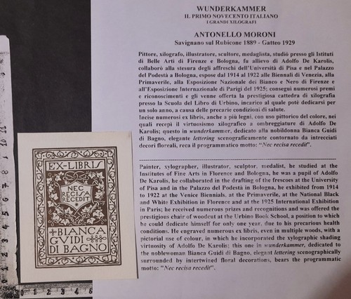 Wunderkammer exlibris 154 - gr,