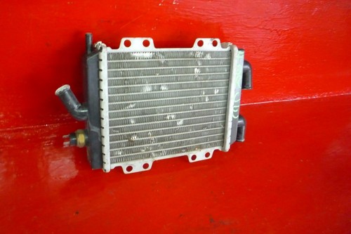 Radiatore acqua peugeot - radiatore, 125