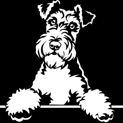 Adesivo foxterrier - foxterrier,