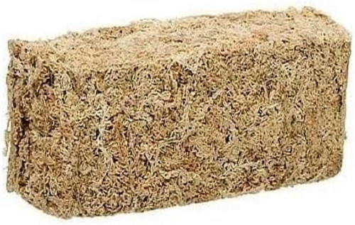 New zelanda sphagnum - zelanda,