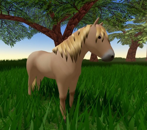 Wild horse islands - islands, iuh