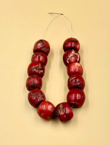 Red shell beats - a,