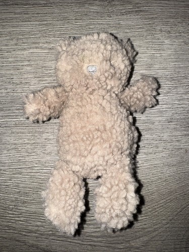 Orsacchiotto the little white - orsacchiotto,
