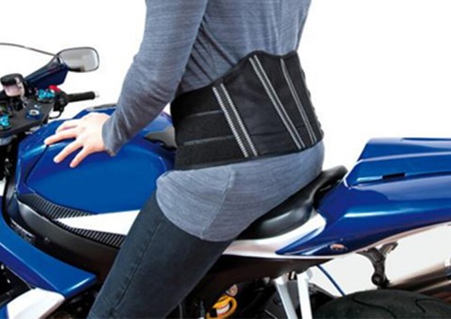 Fascia elastica lombare - fascia,