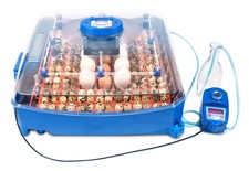 Incubatrice per Uova