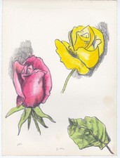 Guttuso renato rose - "rose, 1981