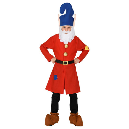 Costume vestito gnomo - vestito,