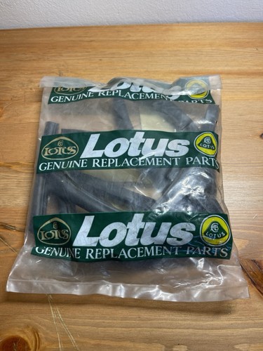 Lotus esprit secondary - esprit,
