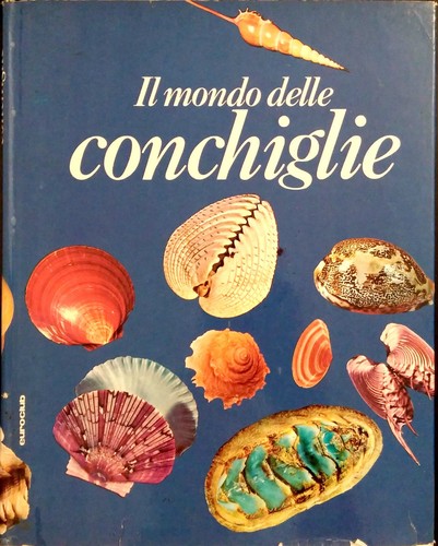 Mondo delle conchiglie - il,