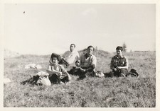 B2 - Foto Photo Fotografia Anni 60  -  Quartetto nel prato