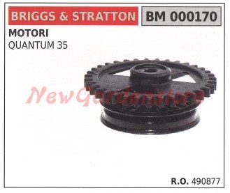 Puleggia messa moto s - moto, b&s