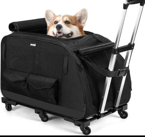 Pecute passeggino per - passeggino, animali