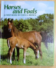 Horses and Foals (First Book)