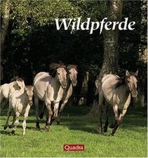 Wildpferde. Freiheit auf vier