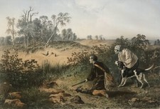 Caccia Al Fagiano Setter Inglese Cane Uccelli Walker 56 Cm Per 44,5 Cm XIX