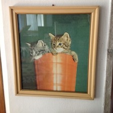 Stampa su cartone anni '40/'50, incorniciata- Gattini in vaso Gariboldi