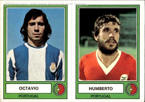 Figurina panini euro football - euro,