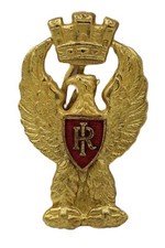 distintivo fregio smalto polizia stato divisa esercito uniforme giacca militare